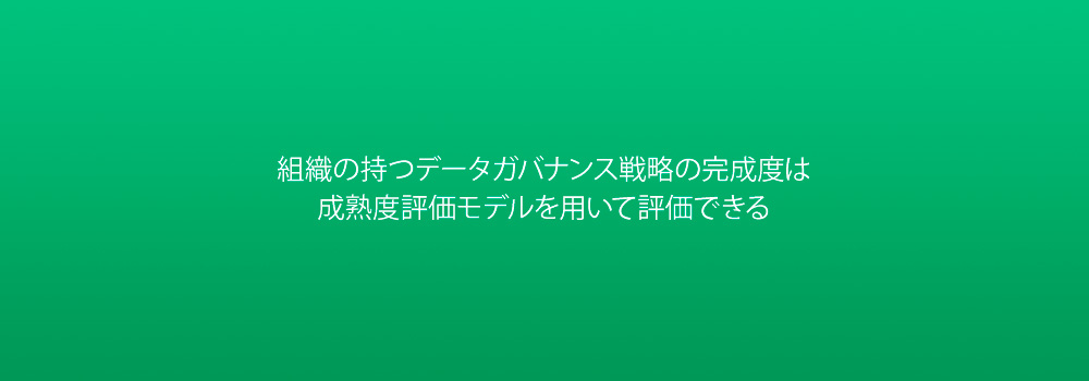 組織の持つデータガバナンス戦略の完成度は 成熟度評価モデルを用いて評価できる