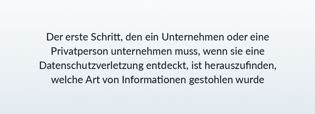 Der erste Schritt, den ein Unternehmen oder eine Privatperson unternehmen muss, wenn sei eine Datenschutzverletzung entdeckt, ist herauszufinden, welche Art von Informationen gestohlen wurde