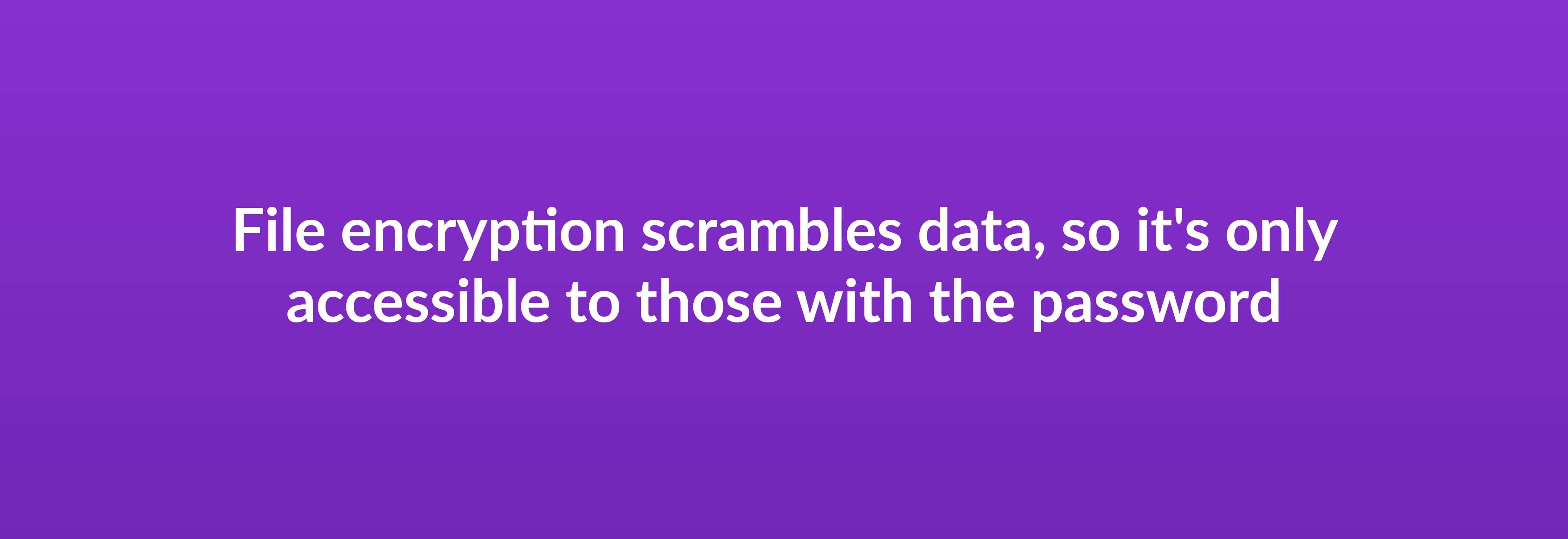 File encryption scrambles data, so it's only accessible to those with the password