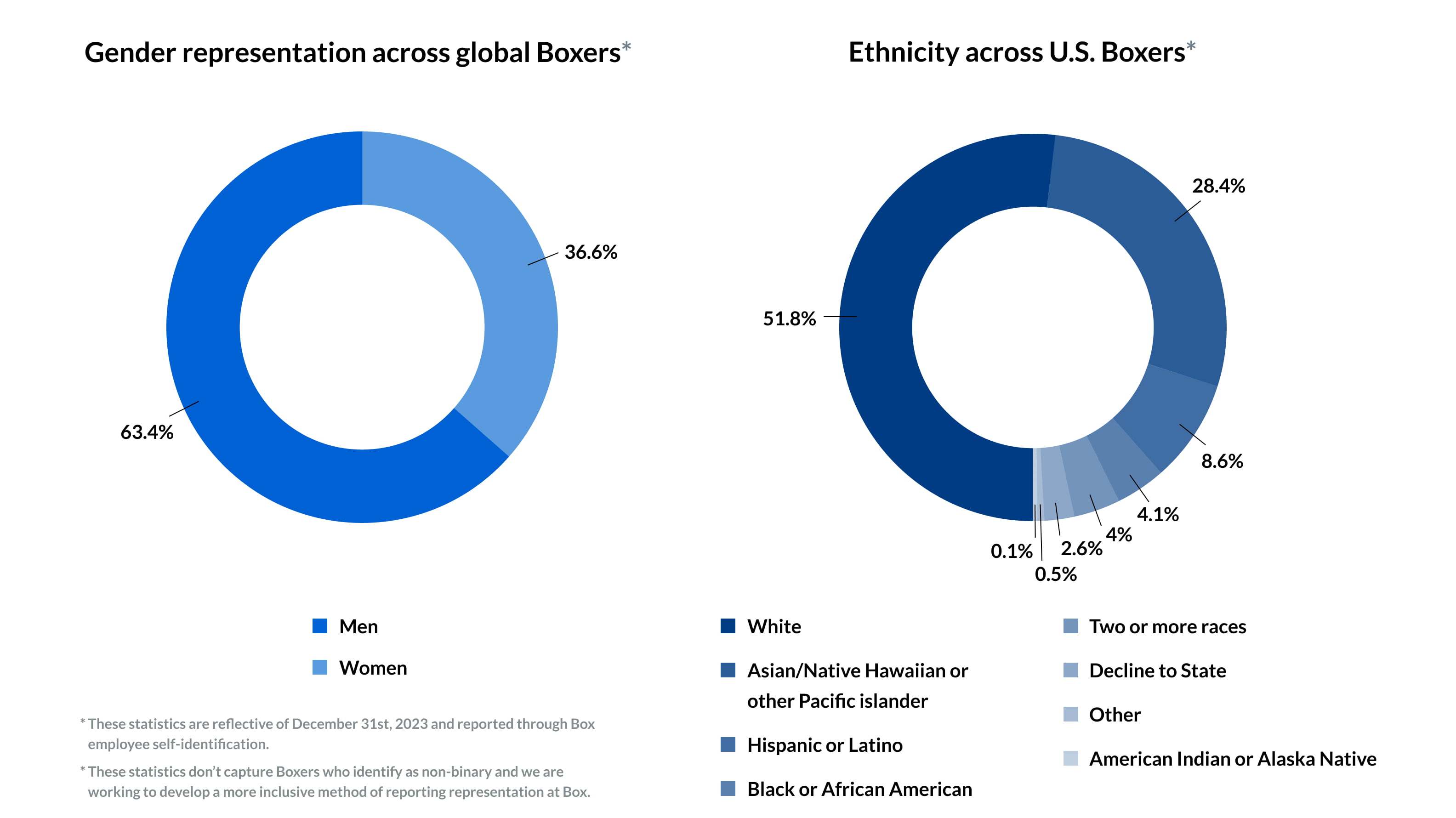 infographic of gender and ethnicity demographics