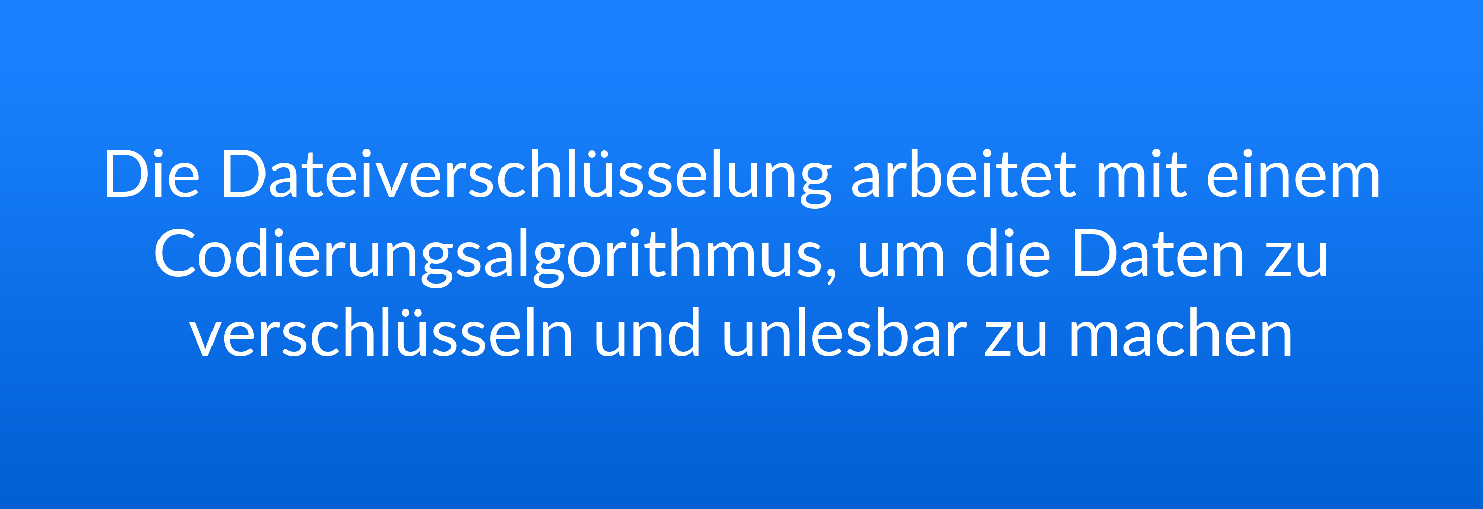 Die Dateiverschlüsselung arbeitet mit einem Codierungsalgorithmus, um die Daten zu verschlüsseln und unlesbar zu machen