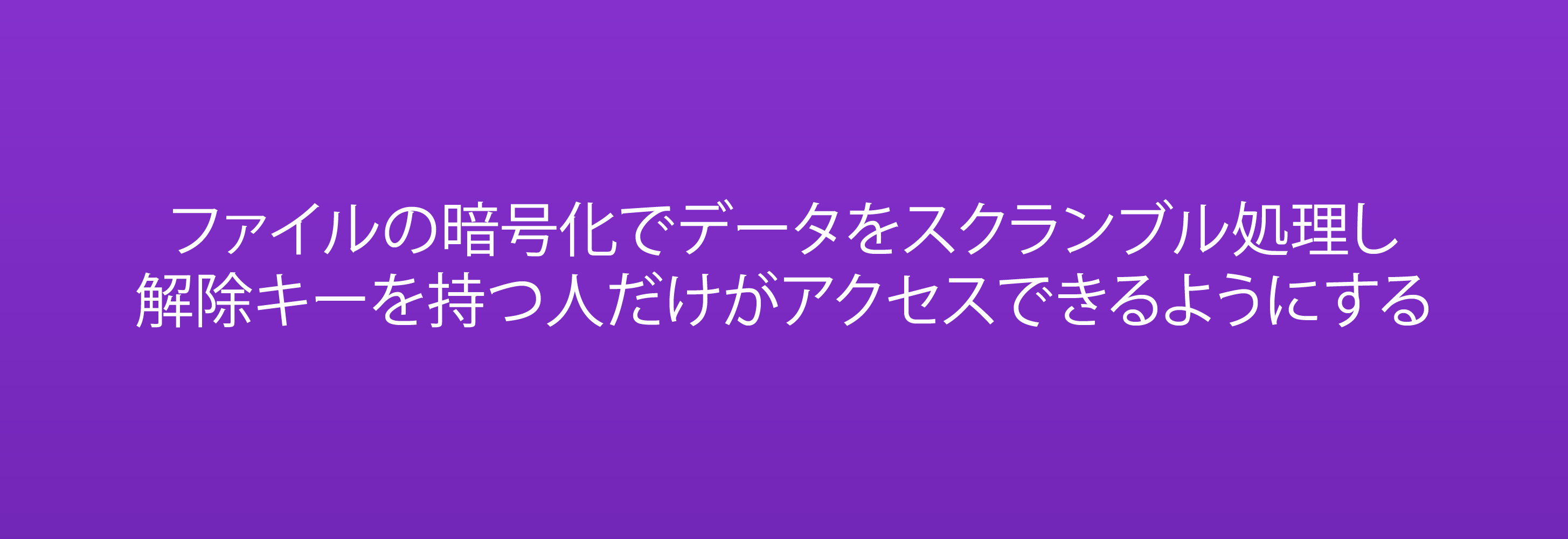 ファイルの暗号化でデータをスクランブル処理し  解除キーを持つ人だけがアクセスできるようにする