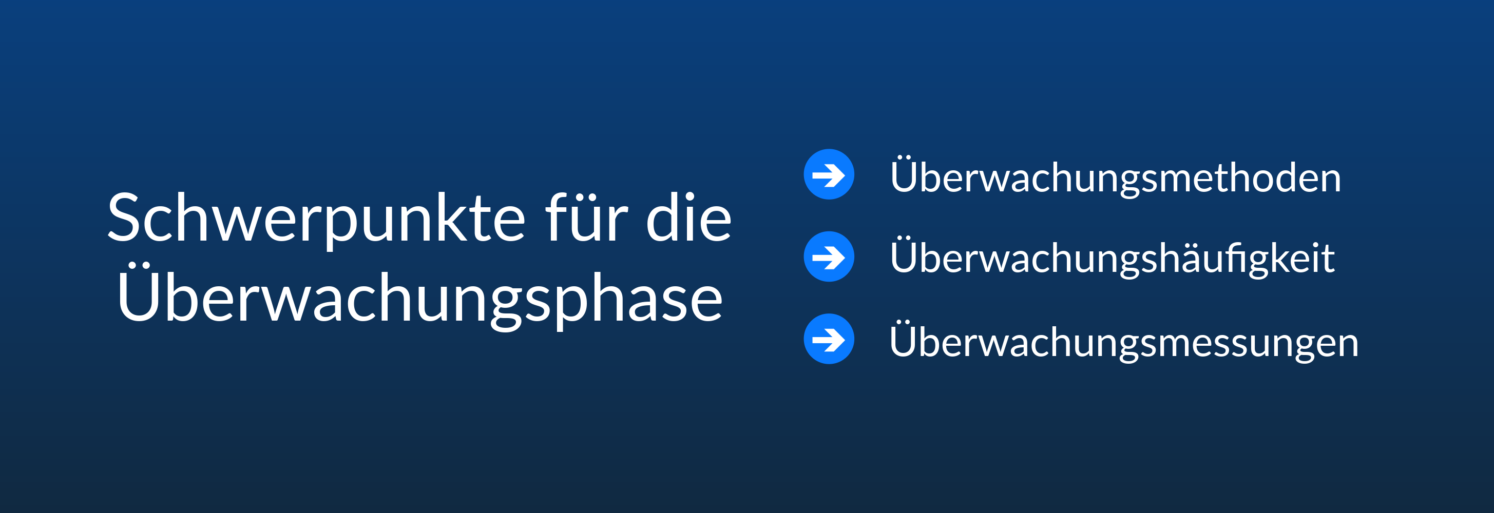 Schwerpunkte für die Überwachungsphase