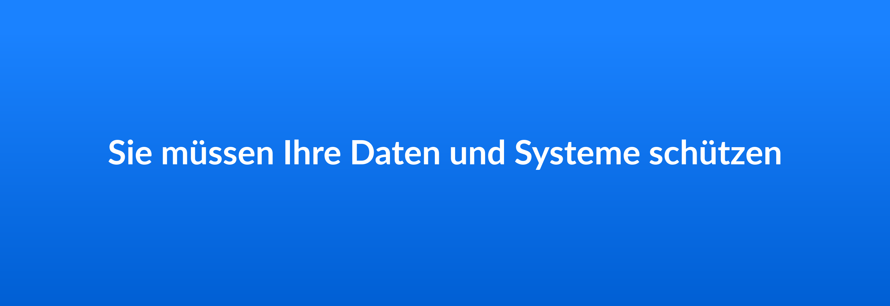 Sie müssen Ihre Daten und Systeme schützen