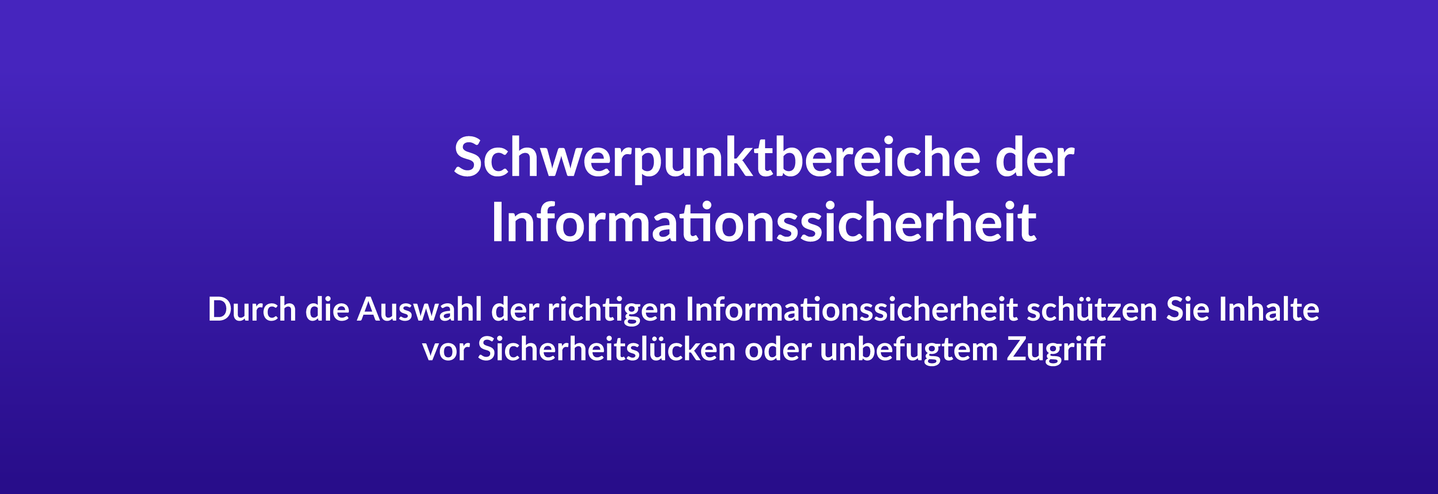 Schwerpunktbereiche der Informationssicherheit