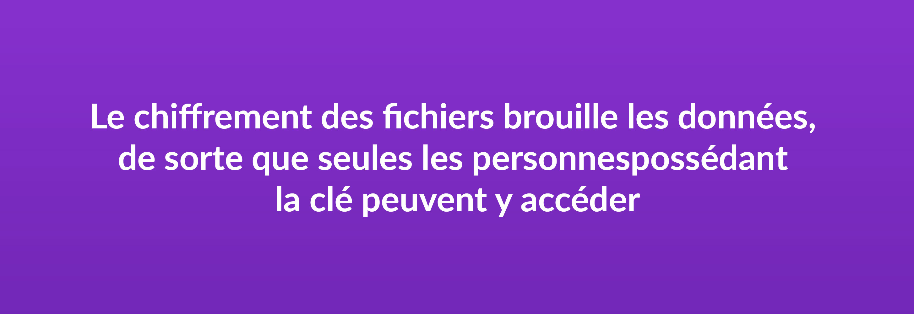 Le chiffrement des fichiers brouille les données, de sorte que seules les personnes possédant la clé peuvent y accéder