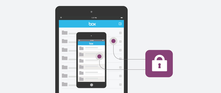 Secure iPhone and iPad